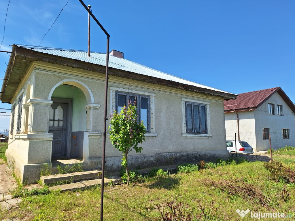 Casa Smeeni zona Stradala