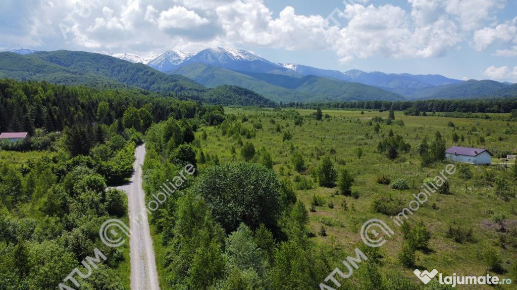 Teren intravilan 550 mp de pe Valea Avrigului loc Avrig