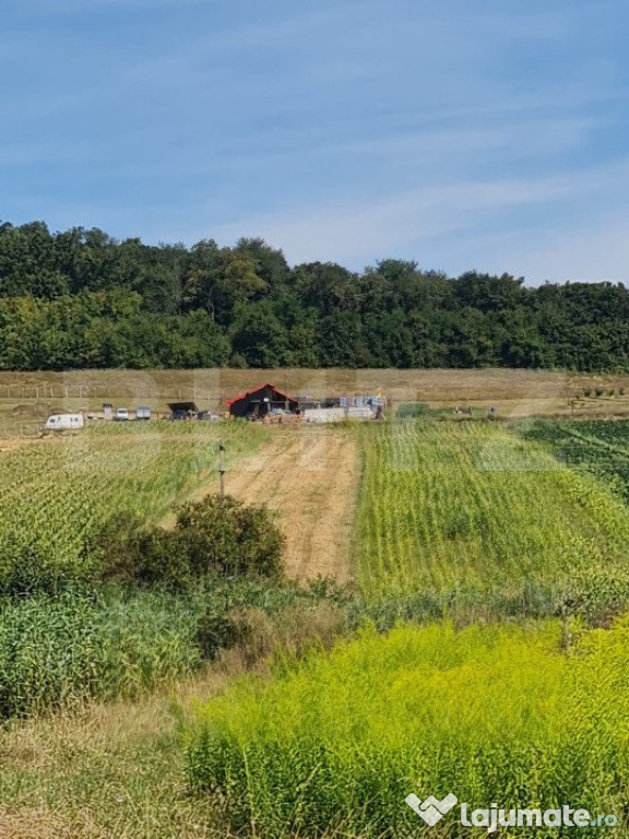 Teren agricol extravilan 60 ari Bardesti