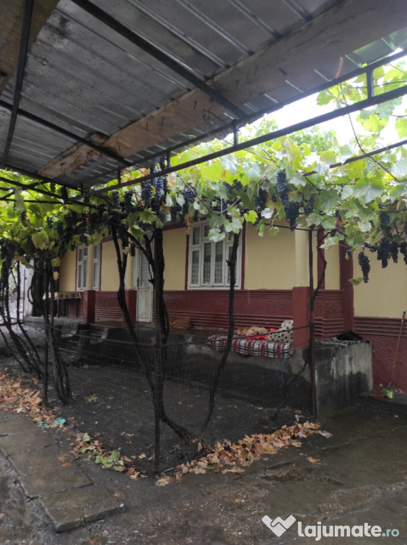 Casa bătrânească Brahasesti, Galati