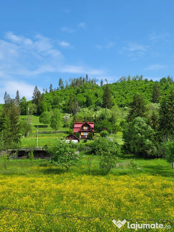 Casa de vacanta Lunca Bradului