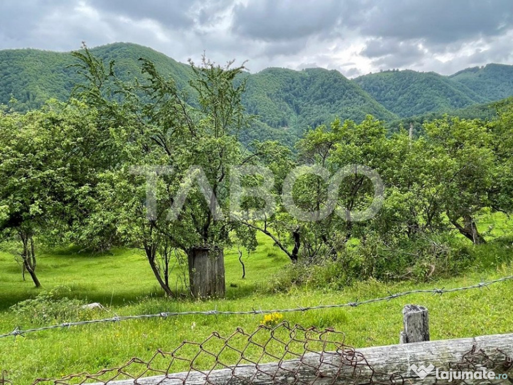 Teren intravilan de vanzare in Martinia de sus