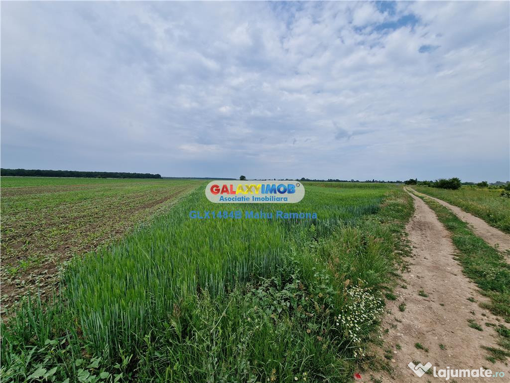 Teren agricol intravilan Uliesti, sat Ragu, apropiere Autost