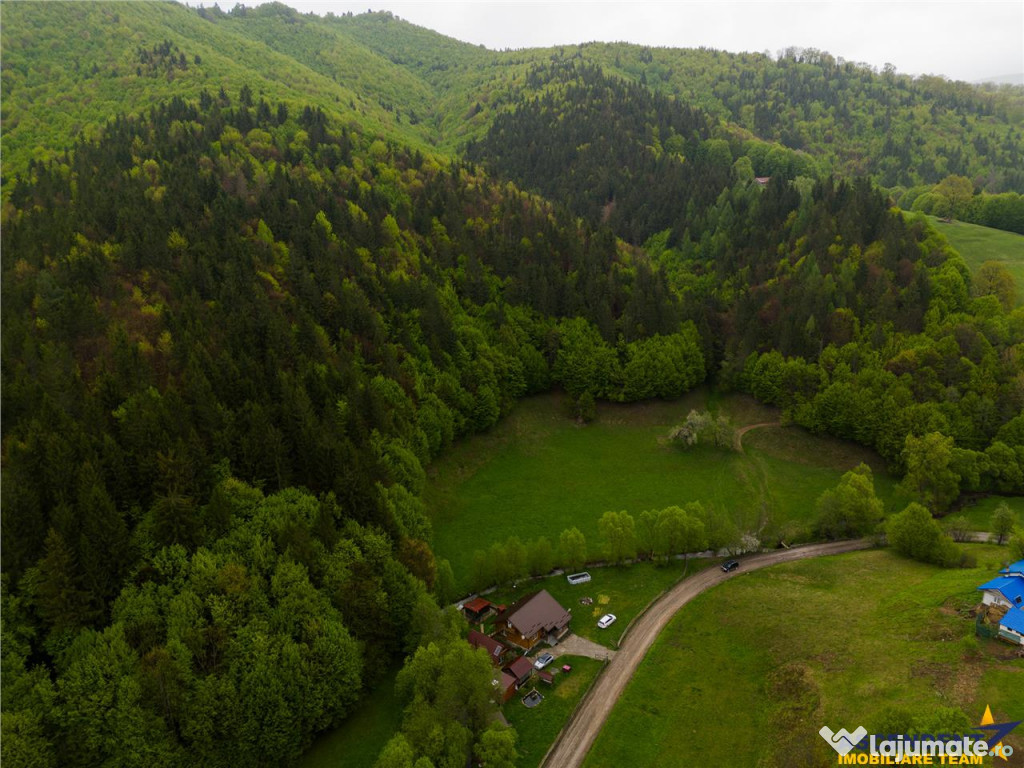 LIVE!Refugiu in inima naturii:Cabana sub aripa padurii si cu