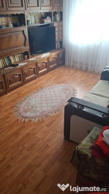 Apartament 3 camere Berzei