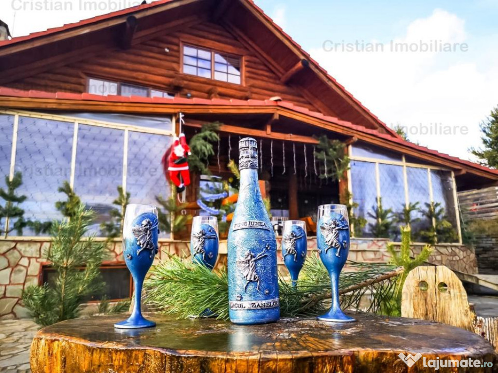 RATE Pensiune Superba*** 12 cam malul Lac Mocearu piscina