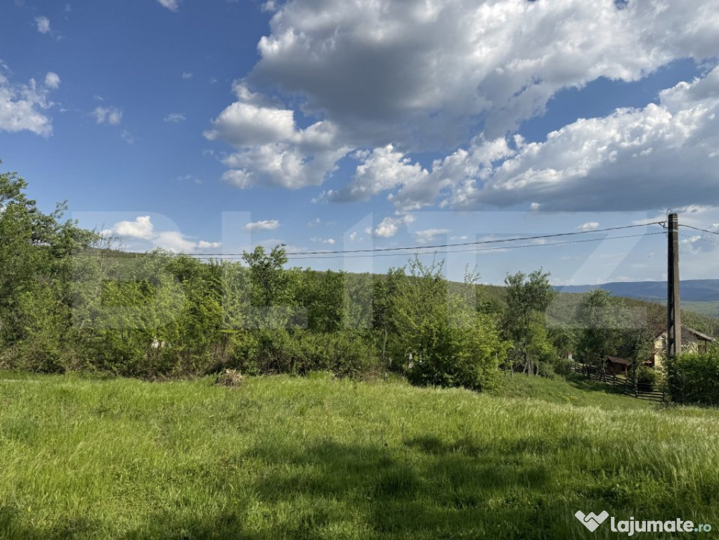 Vând teren intravilan15080mp, Tătărăști