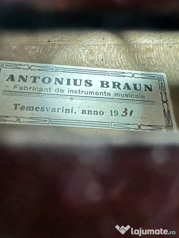 Vioara Antonio Braun