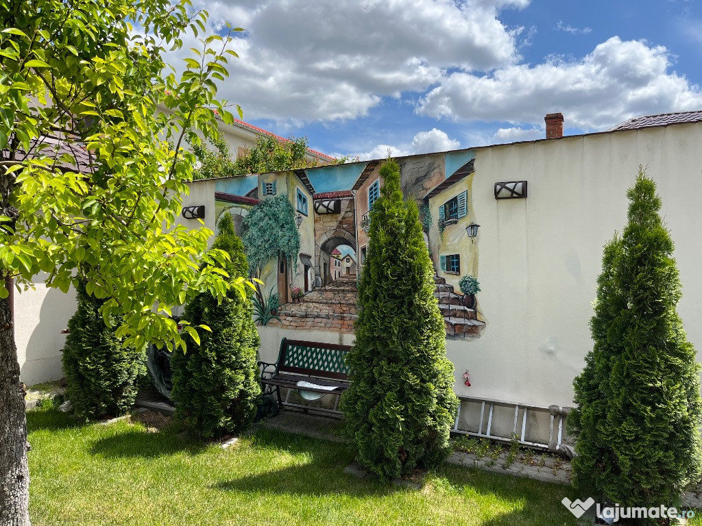 Casa cu curte superba central Craiova