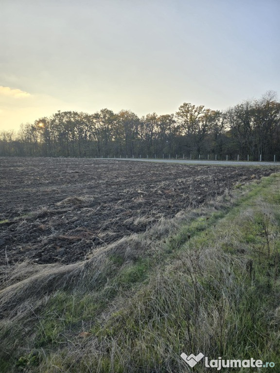 Teren intravilan - Călugăreni, Giurgiu 500mp