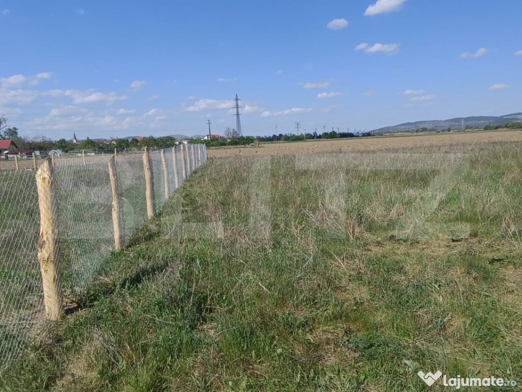 Teren intravilan 525 mp apa curent gaz la aprox. 50 m constr