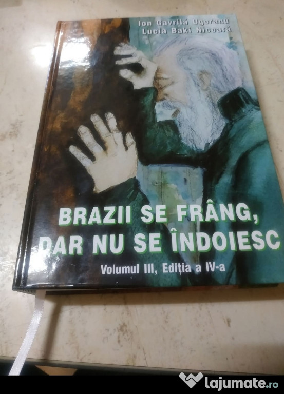 Brazii se frâng dar nu se îndoiesc