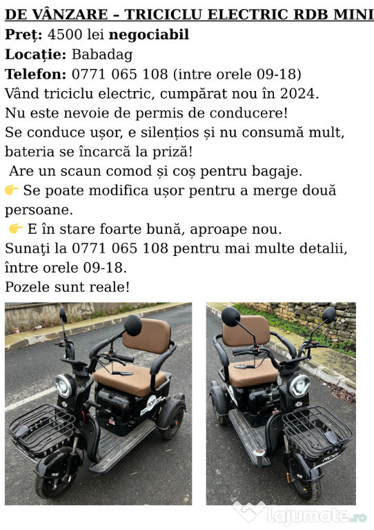 Triciclu electric RDB Mini