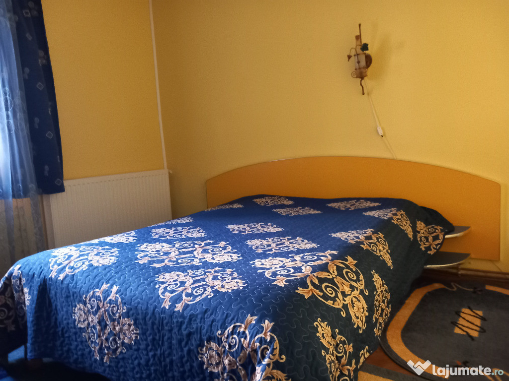 Apartament 2 camere, direct proprietar, Busteni