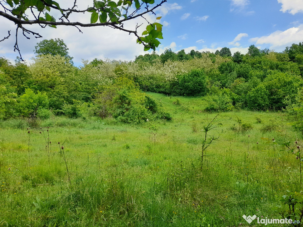 0.5 Ha, intravilan, fara poluare