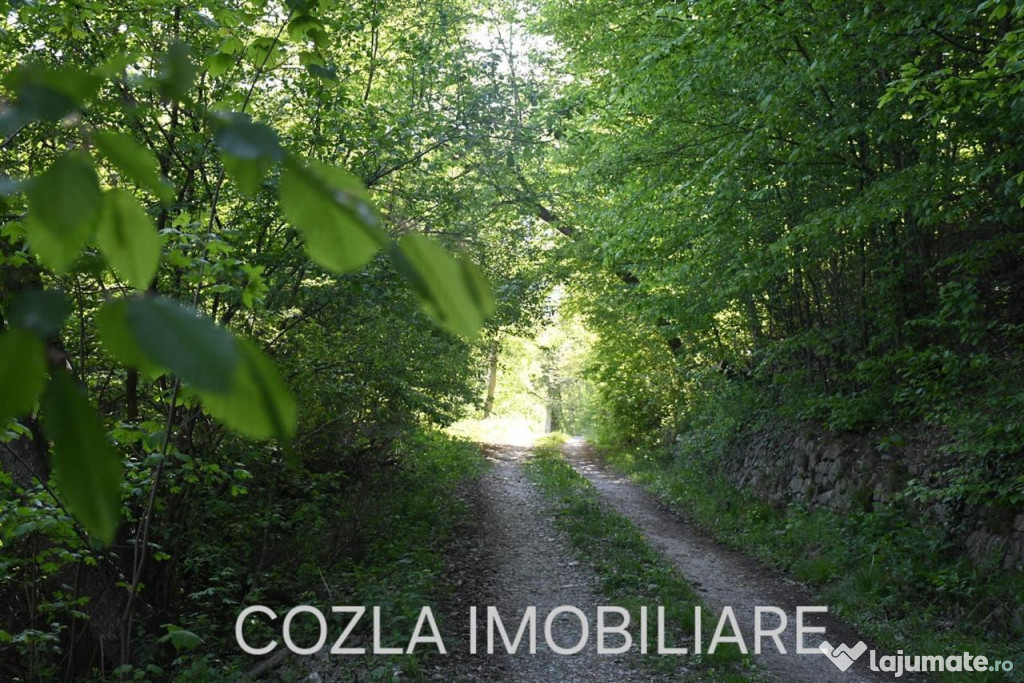 Teren intravilan pentru cabana