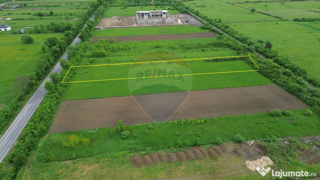Teren 3,600mp Cicarlau / DN E 58
