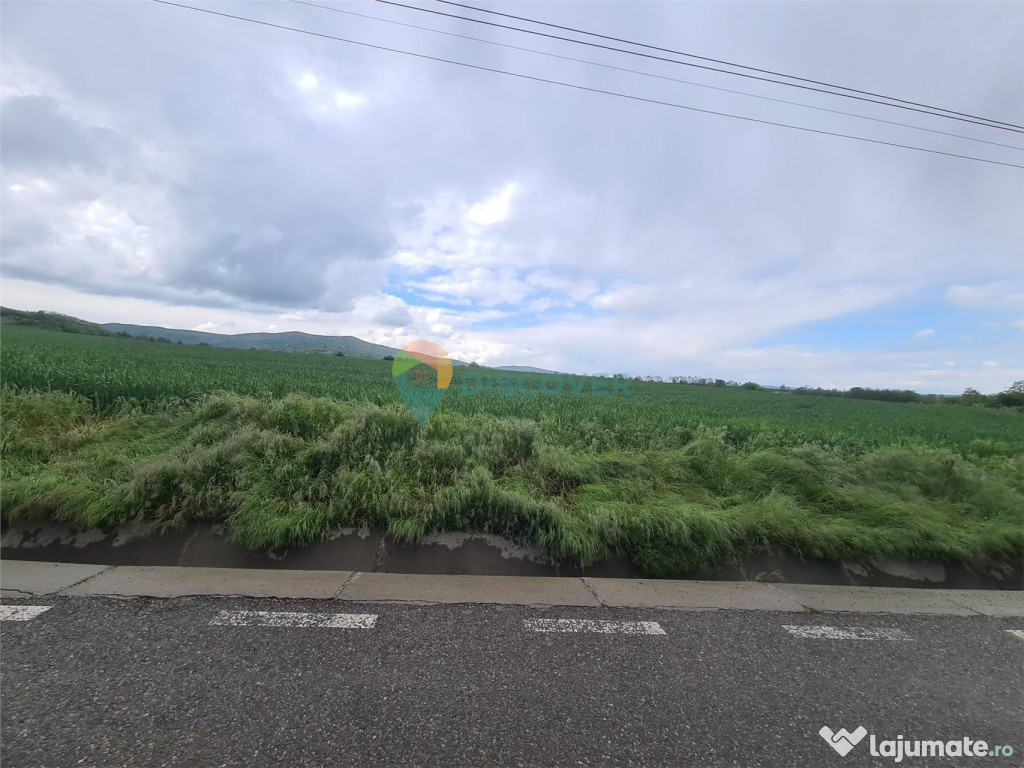 Teren intravilan, 7700 mp, zona URA, Sarata