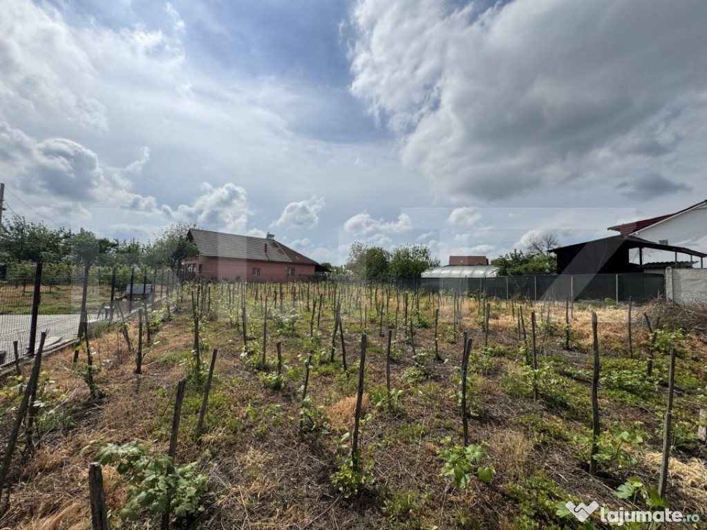 Teren intravilan 1.342 mp Filiași, parcelabil, ideal invest