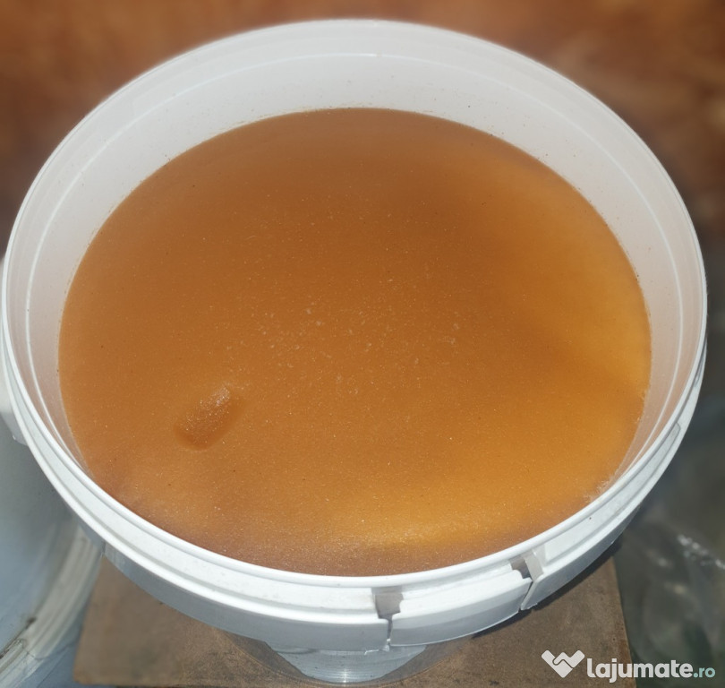 Miere de tei la galeata 35Kg 2024