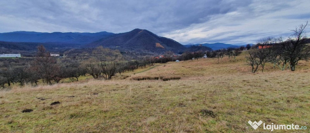 Teren intravilan 1250mp cu PUZ in Cisnădioara