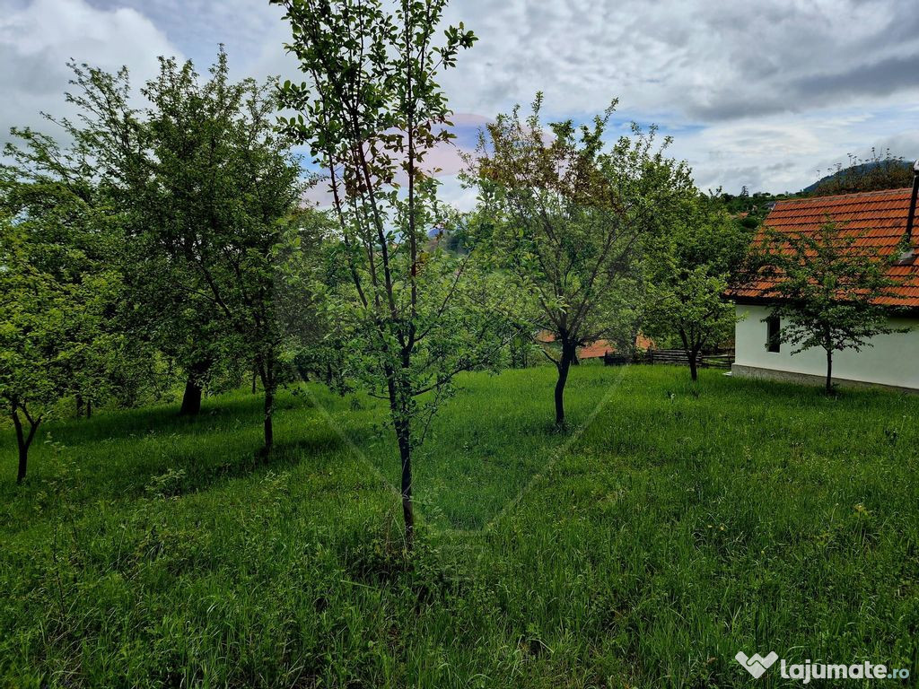 Comision 0 % /Gradina insorita , intravilan Sohodol 1337 ...
