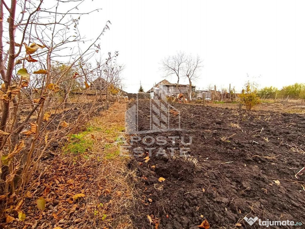 Teren 1000mp Cu Utilitati Dudesti Noi