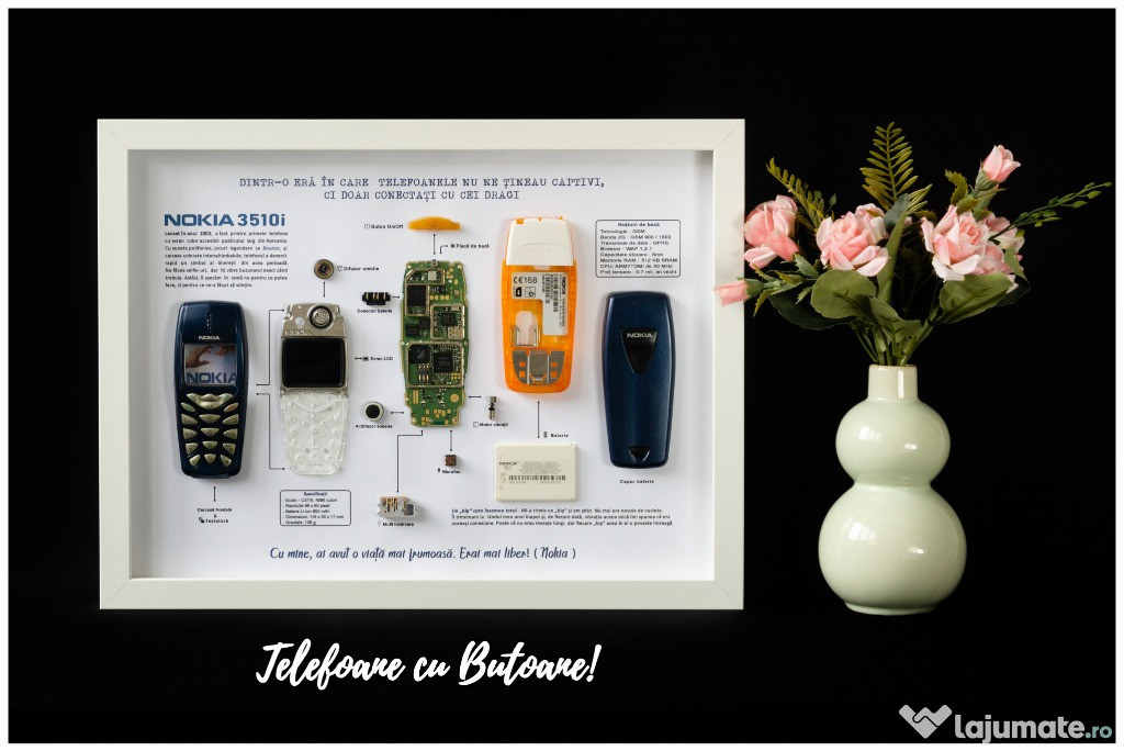 Nokia 3510i - Tablou - inramez si Nokia 6310i Nokia 6700 Nokia 8800