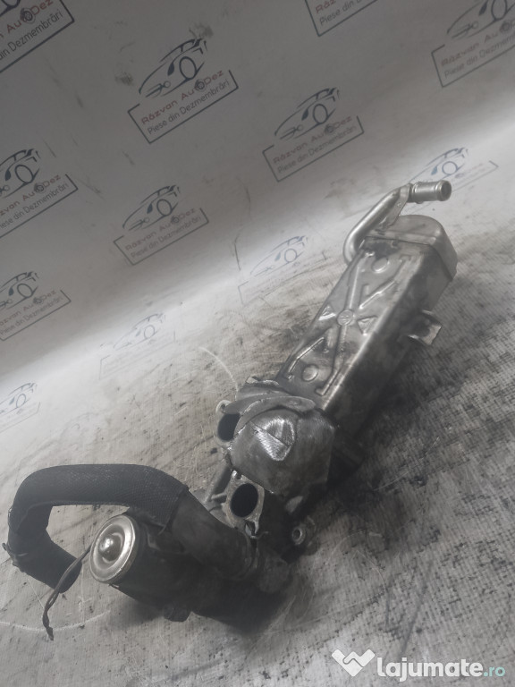 Racitor Gaze cu EGR Volkswagen Tiguan 2011