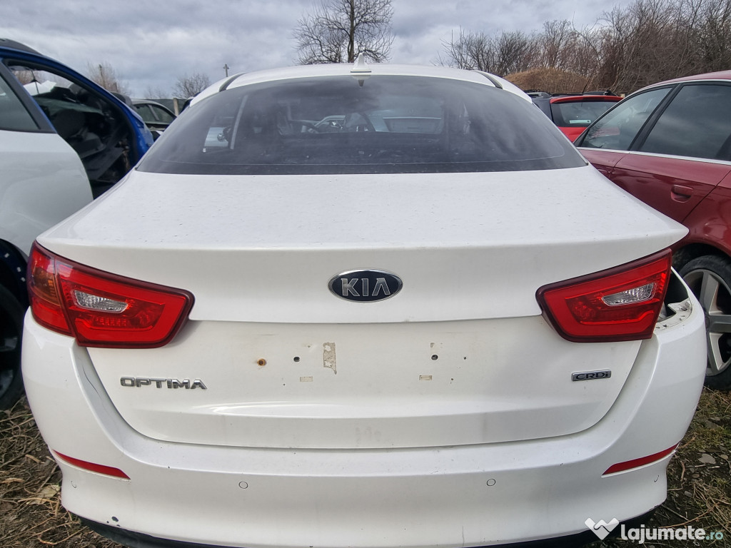 Hayon Kia Optima 2016