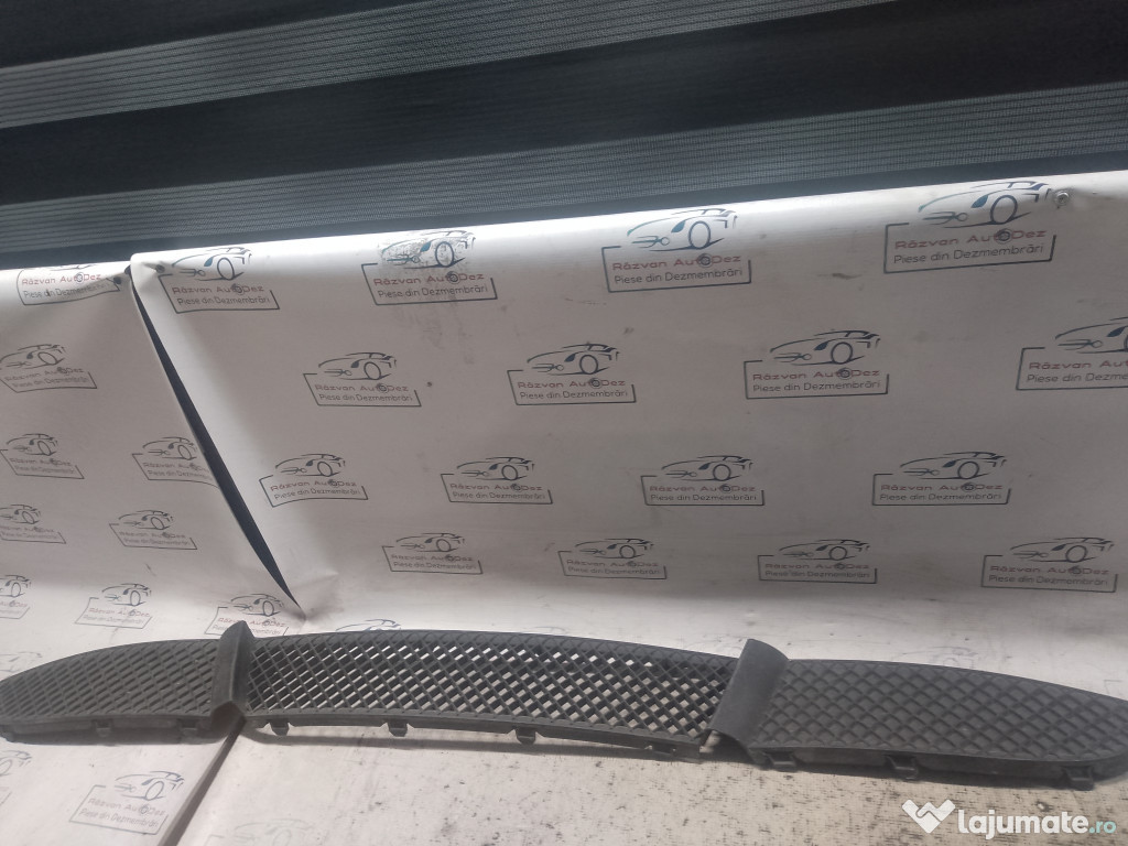 Grila bara fata BMW 118 2008