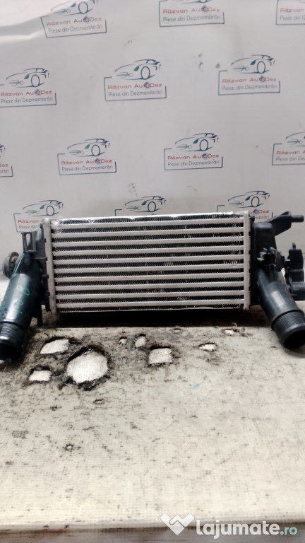 Intercooler Ford Fiesta 1.0 Benzina 2021