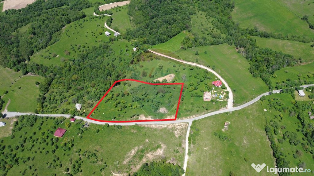 Teren intravilan de vanzare 12,700mp Codru Butesii / Stra...