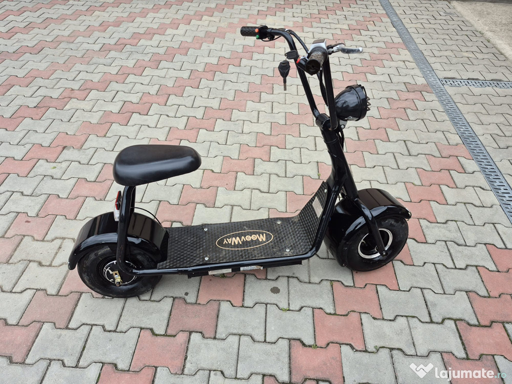 Mini scuter electric