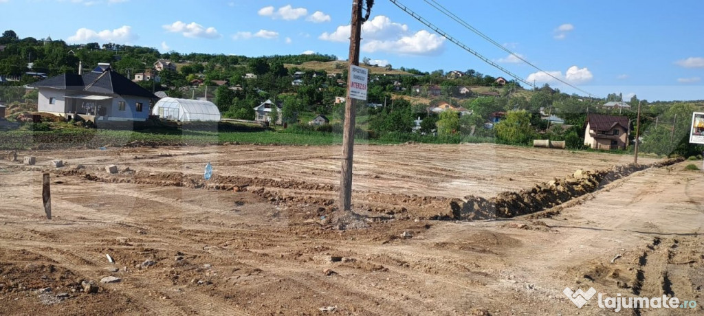 Teren intravilan de inchiriat , 5000mp, zona Rachiti-Botosan