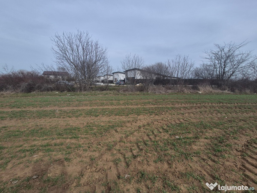 Teren intravilan ieftin Balotesti, 1050 mp, 23000 euro