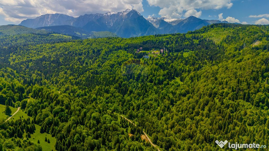 Teren 14,400mp Paraul Rece / Strada 3 brazi