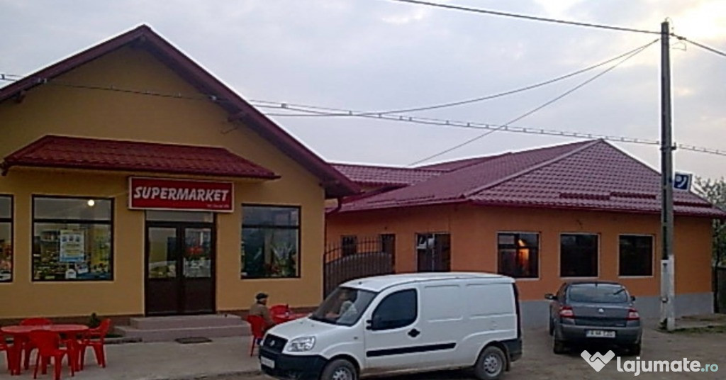 VANZARE PROPRIETATE LA TARA