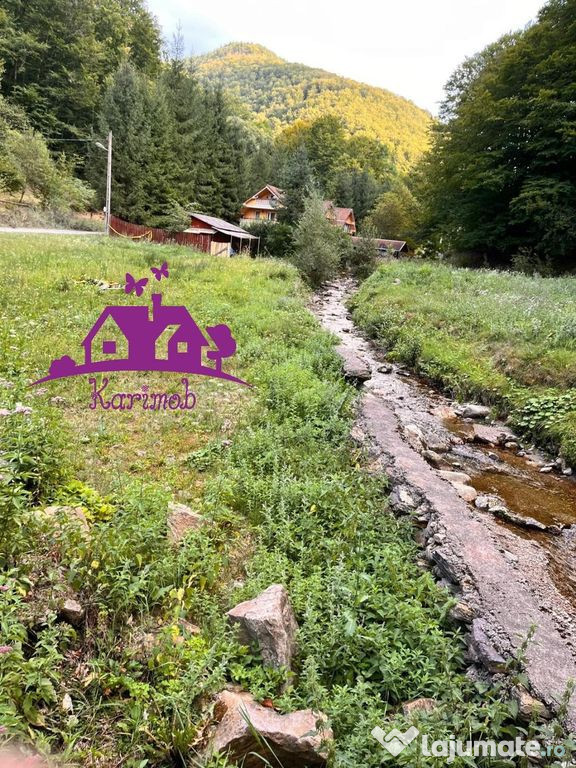 Teren valea Bratcutei