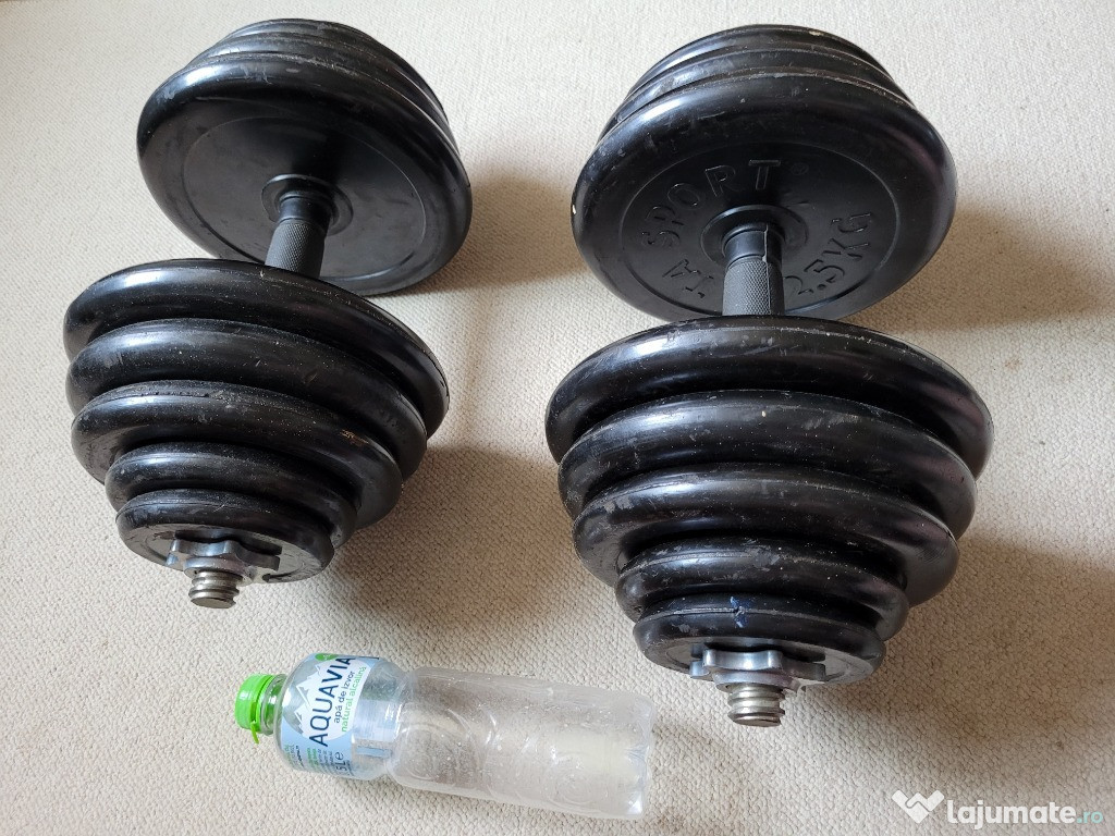 Gantere reglabile 30kg (15kg x 2)