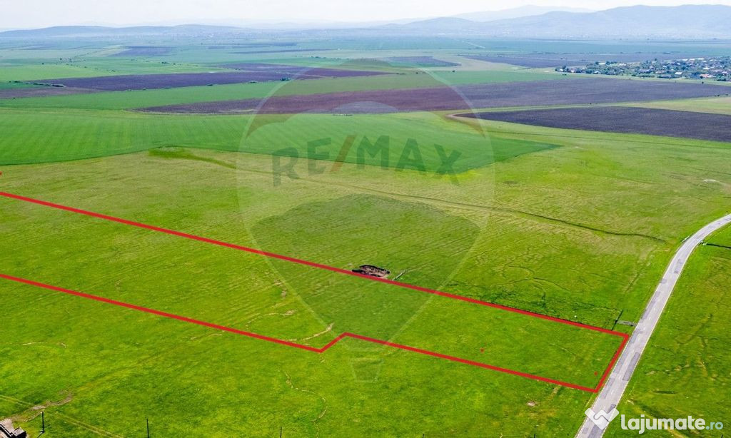 Teren agricol 5 ha, extravilan, 52 m deschidere la șosea