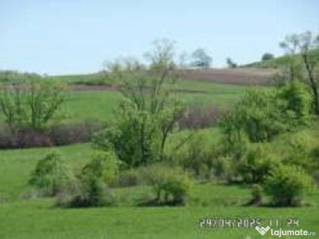 Teren extravilan Chirpar, ID: R2585282