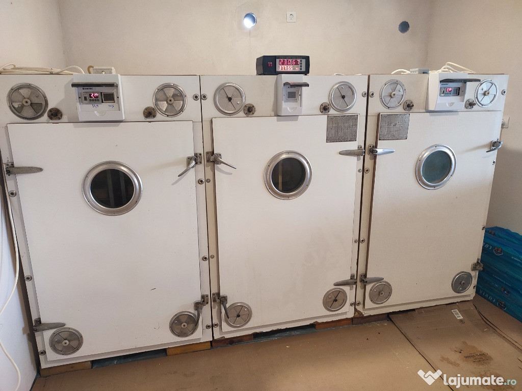 Incubator (clocitoare) oua