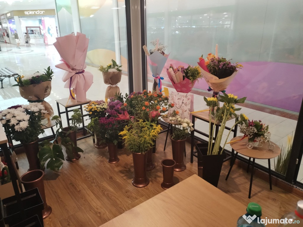 Afacere florarie MALL Grand Arena Berceni