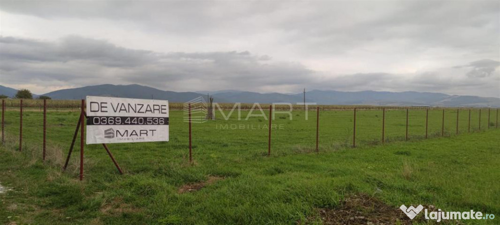 Teren intravilan cu PUZ 30.000 mp Prejmer