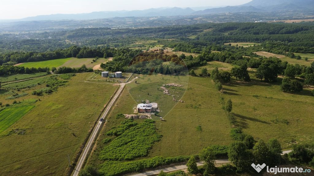 Teren 9,900mp Berinta cu deschidere la 2 drumuri.