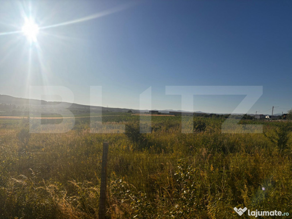 Teren Intravilan, 3000 mp, Sieu Odorhei