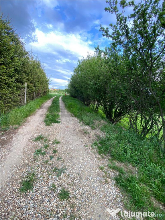 RECO Teren intravilan in Saldabagiu de munte 985mp