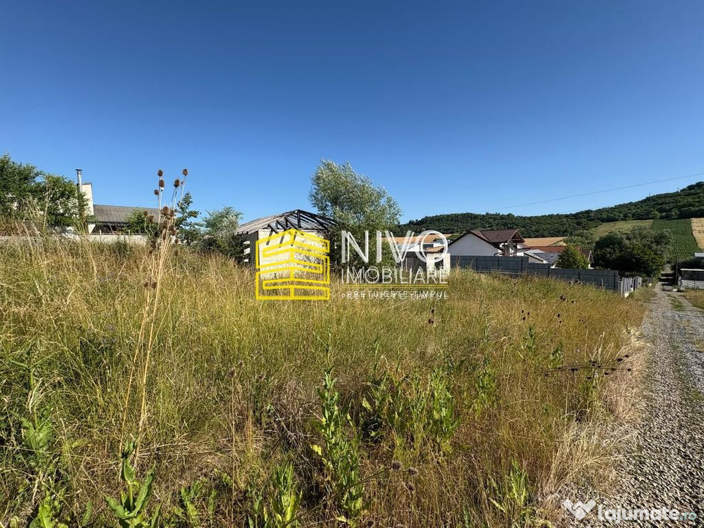 Teren intravilan – Budiu Mic