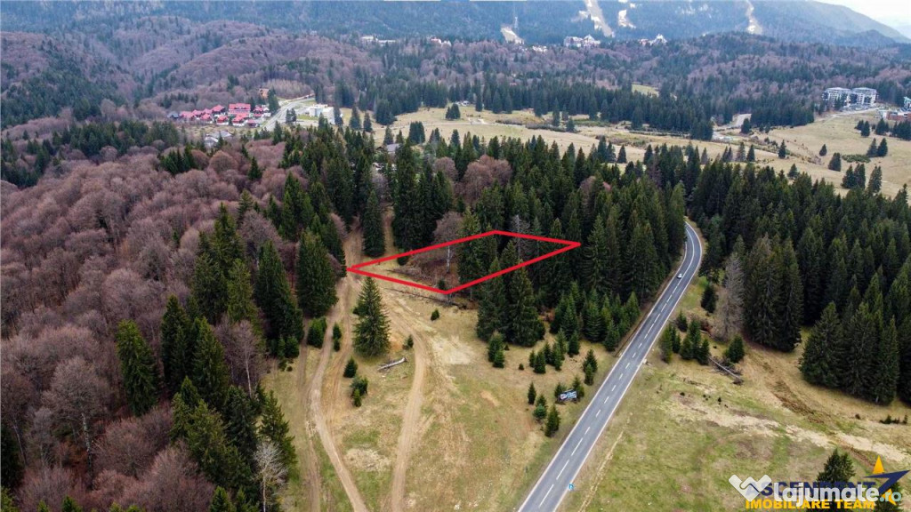 Teren cu potential:1.000 mp,proiect turistic rezidential,Poi